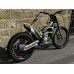 2025 TRS 250 ONE R