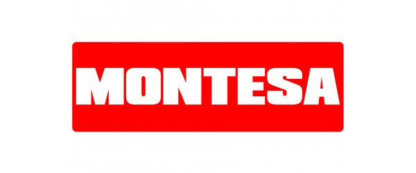 Montesa Parts (13)