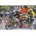 2019 Scottish PRE65 Trial Review DVD